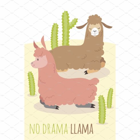 No drama llama card. Relaxing alpaca cover image.