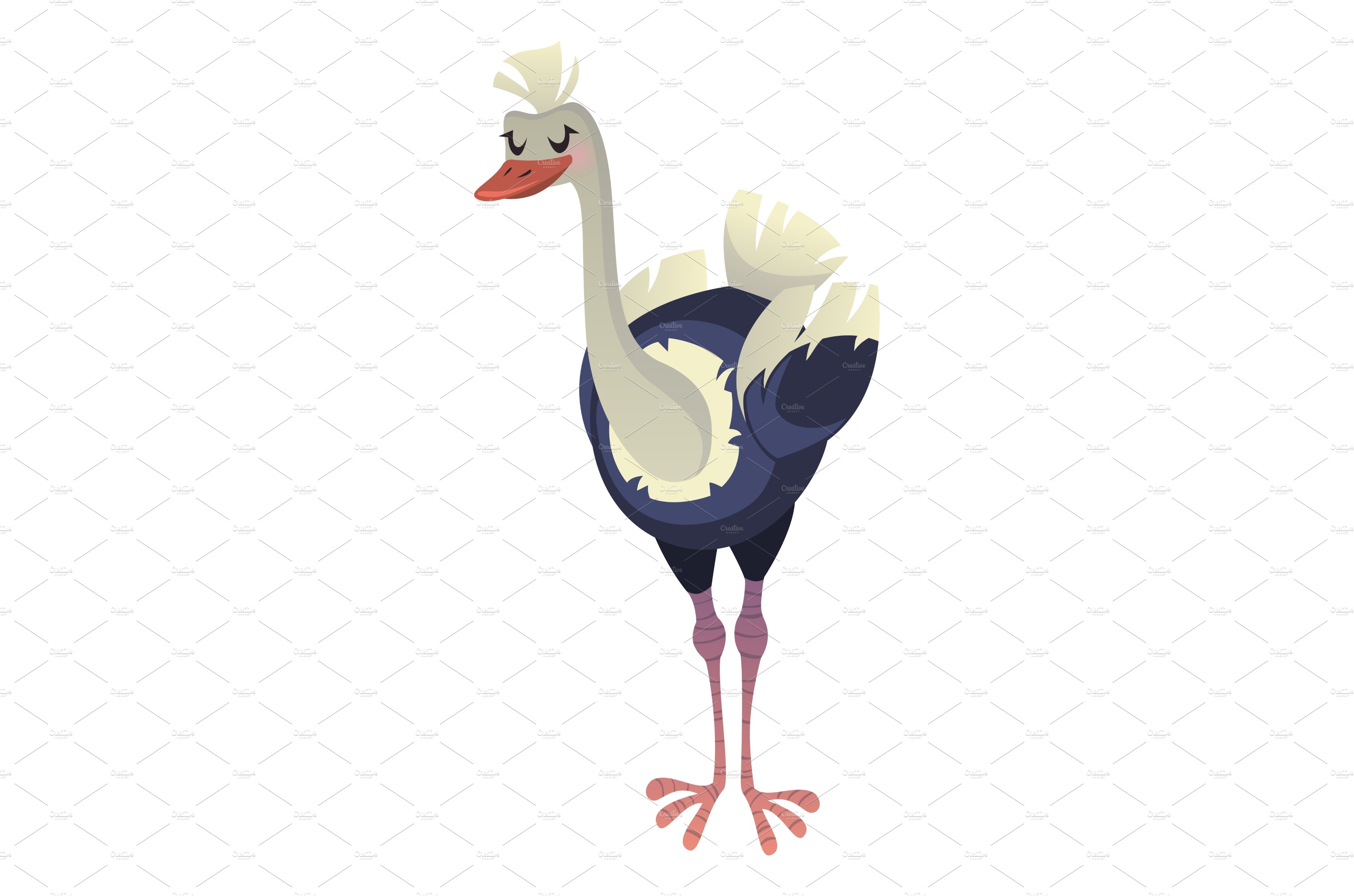 Cartoon ostrich. Big exotic bird cover image.