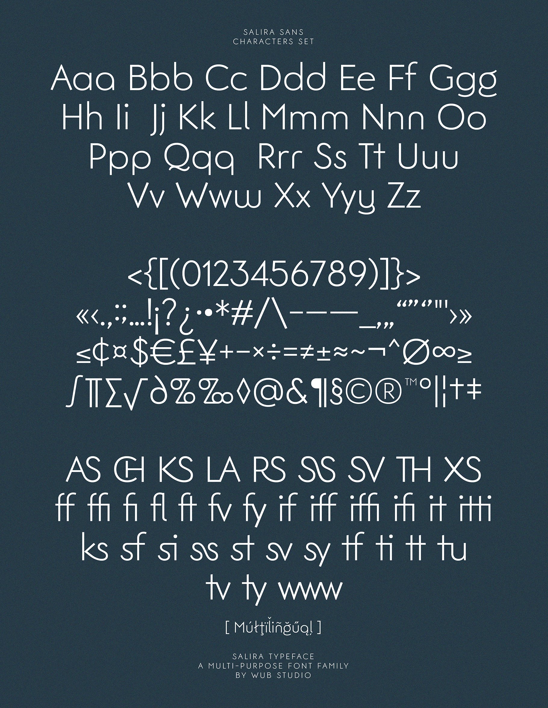 salira typeface 14 740