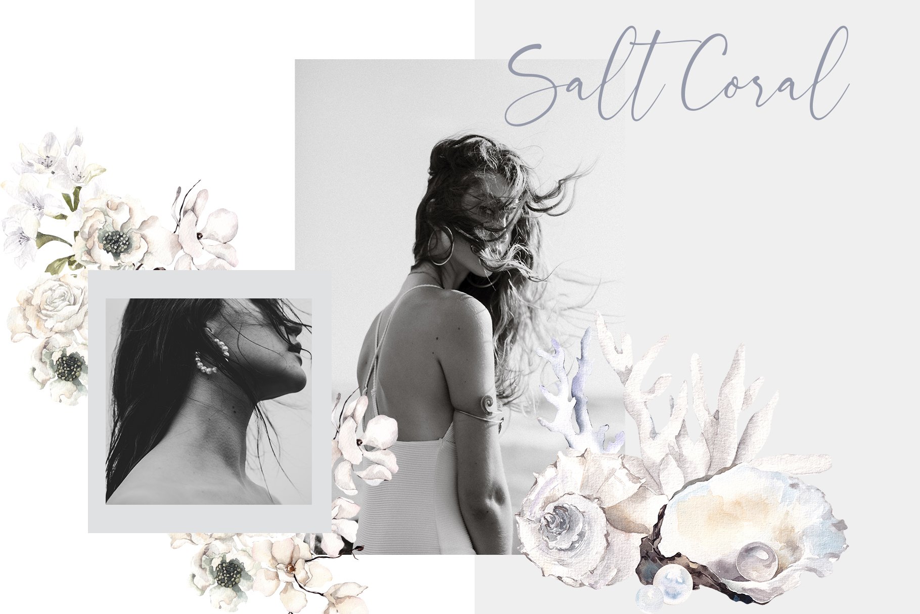 Salt Coral. Sea shell and flowers. preview image.