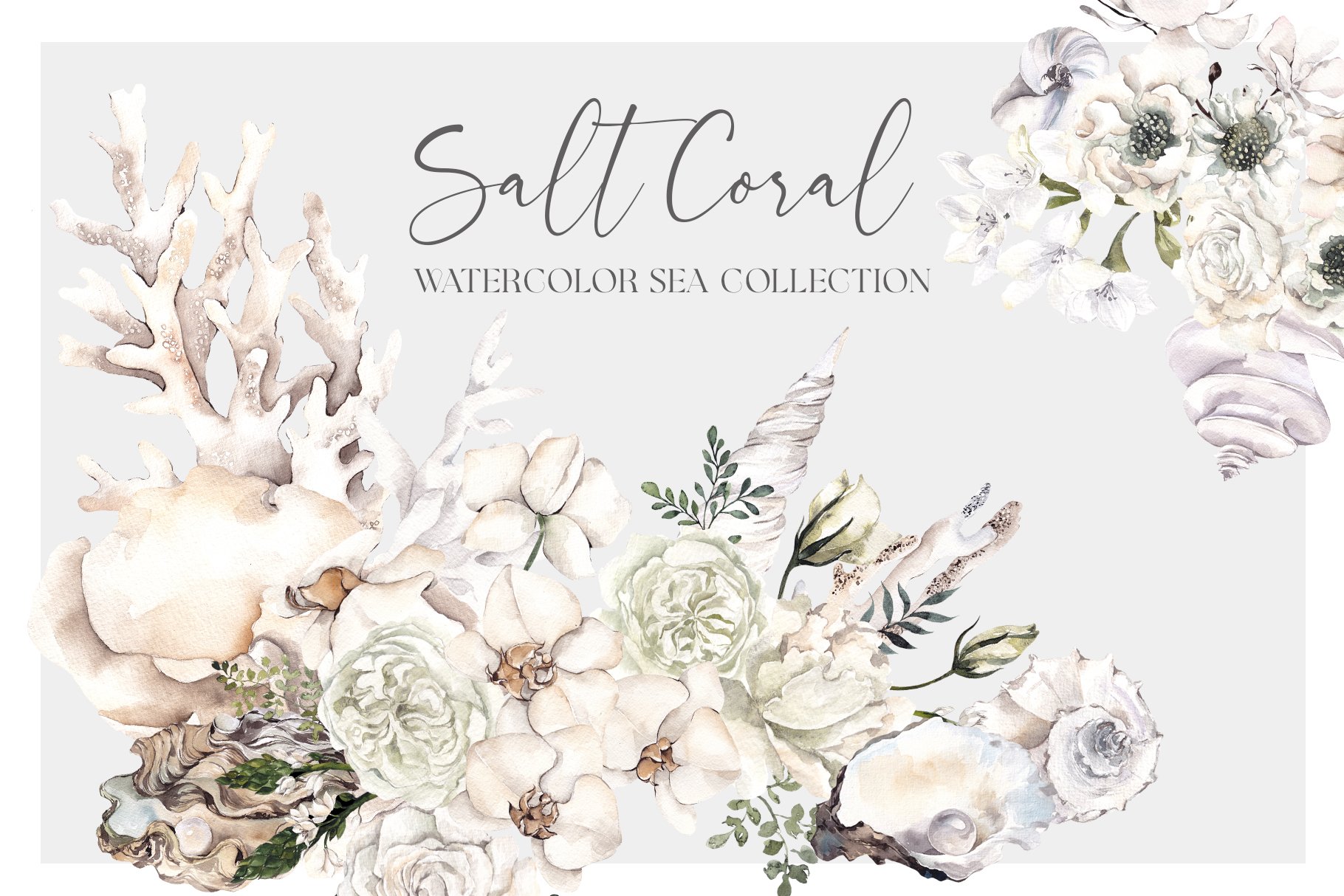 Salt Coral. Sea shell and flowers. cover image.