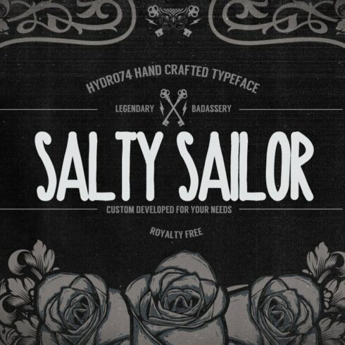 Salty Sailor cover image.