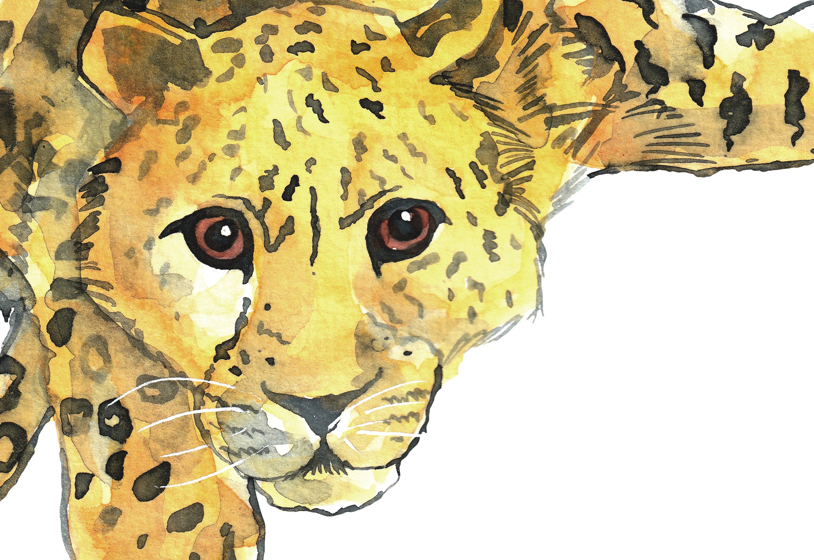 8 Cheetah Realistic Watercolor PNG preview image.
