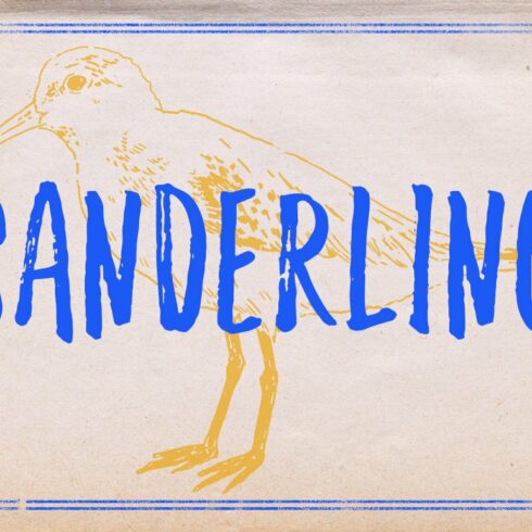 Sanderling Textured Font cover image.