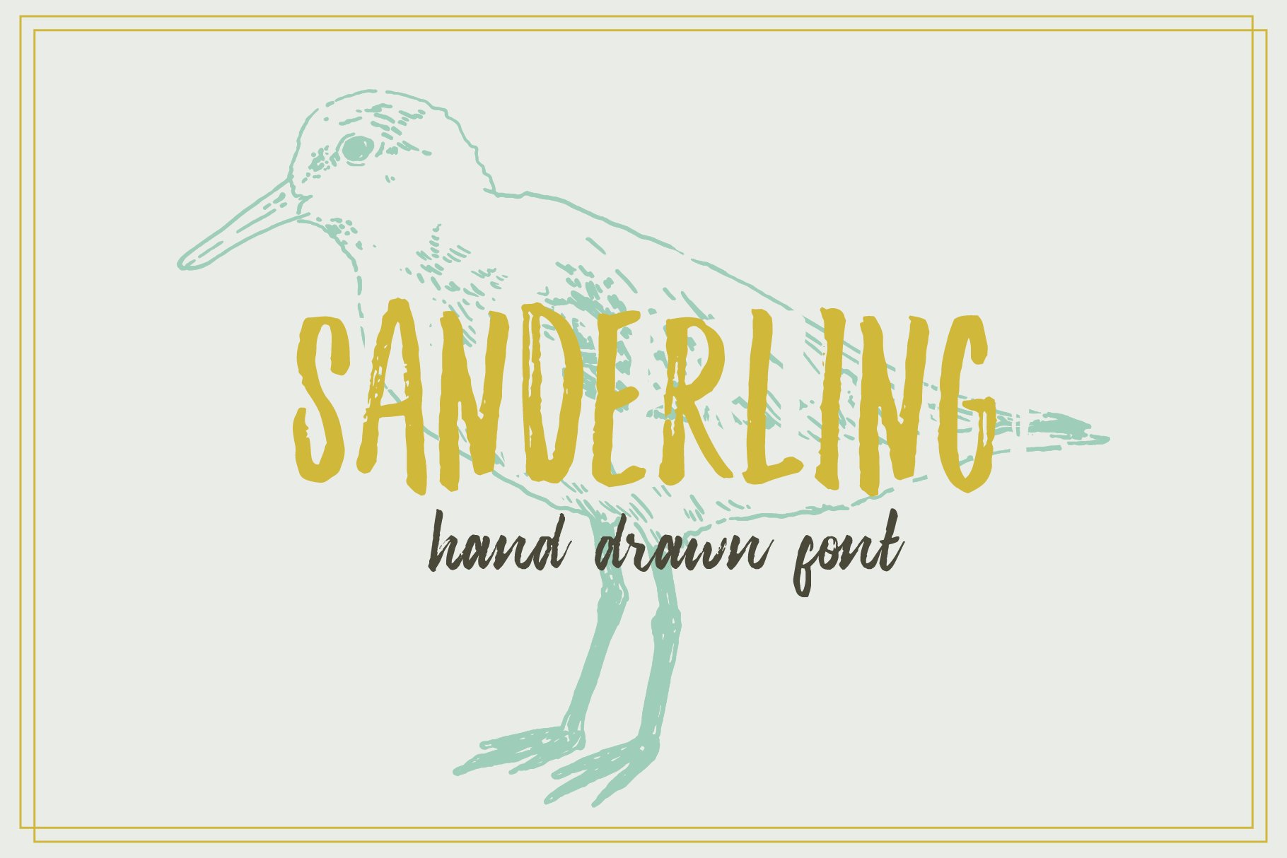 sanderling font 01 246