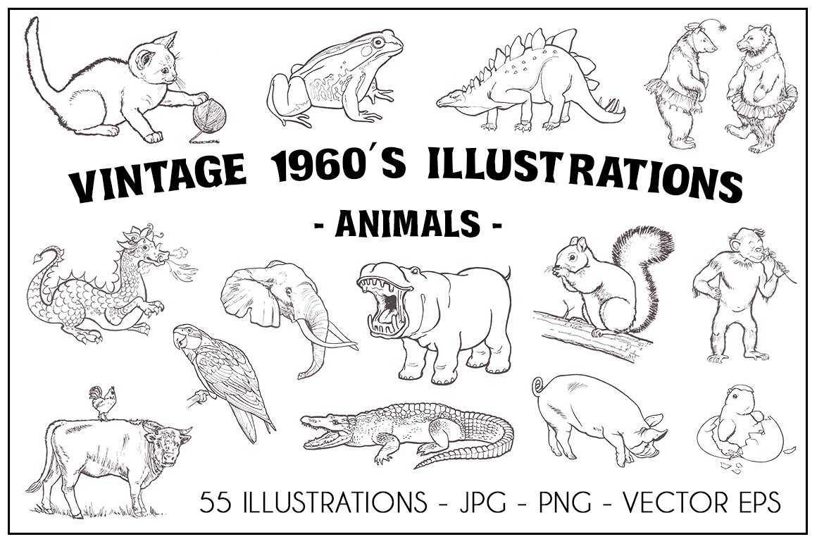 Vintage 1960's Illustrations-Animals cover image.
