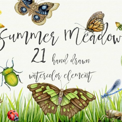 Summer Meadow. Watercolor clipart cover image.