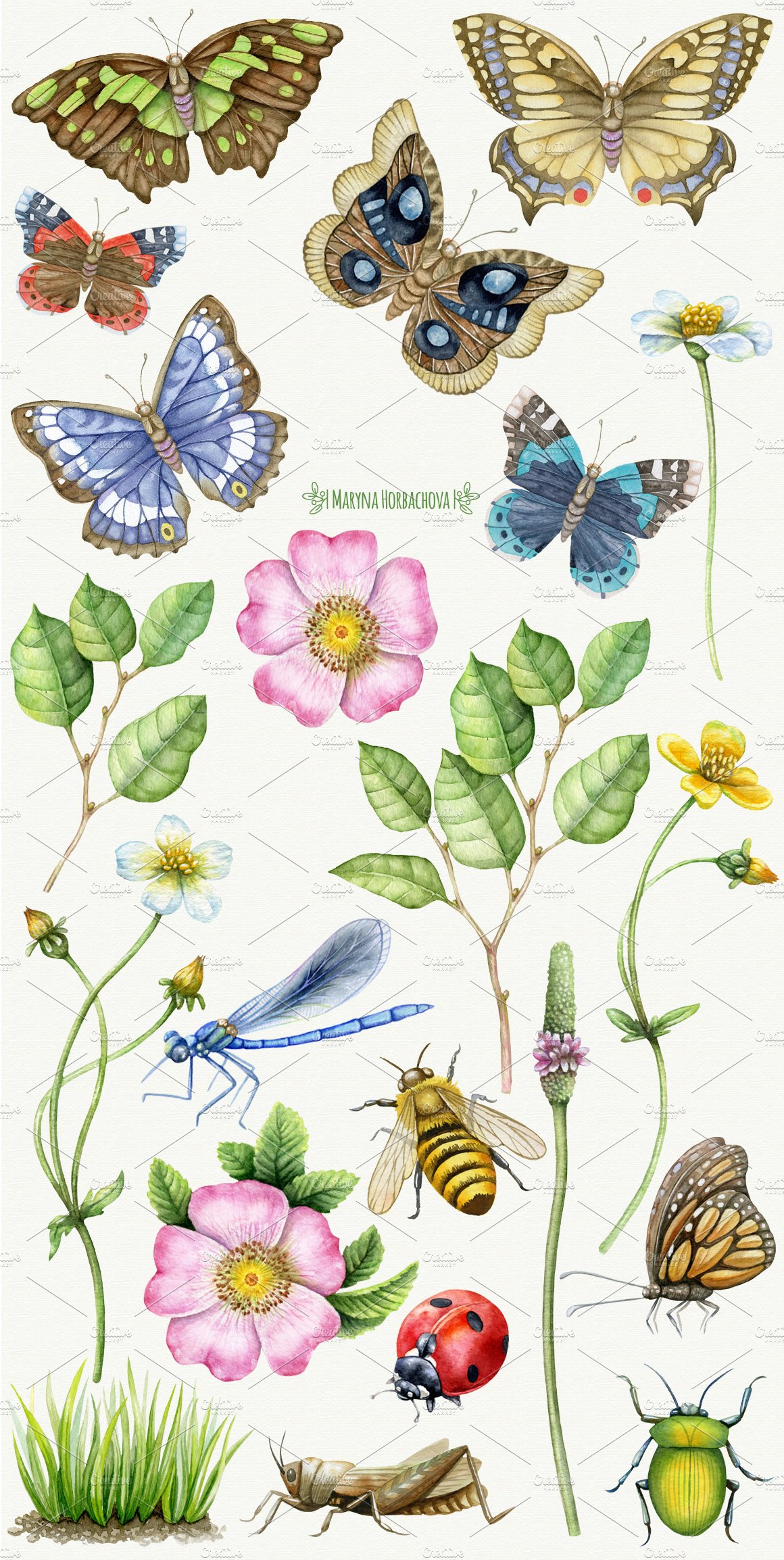 Summer Meadow. Watercolor clipart preview image.