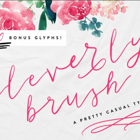 Cleverly Brush cover image.