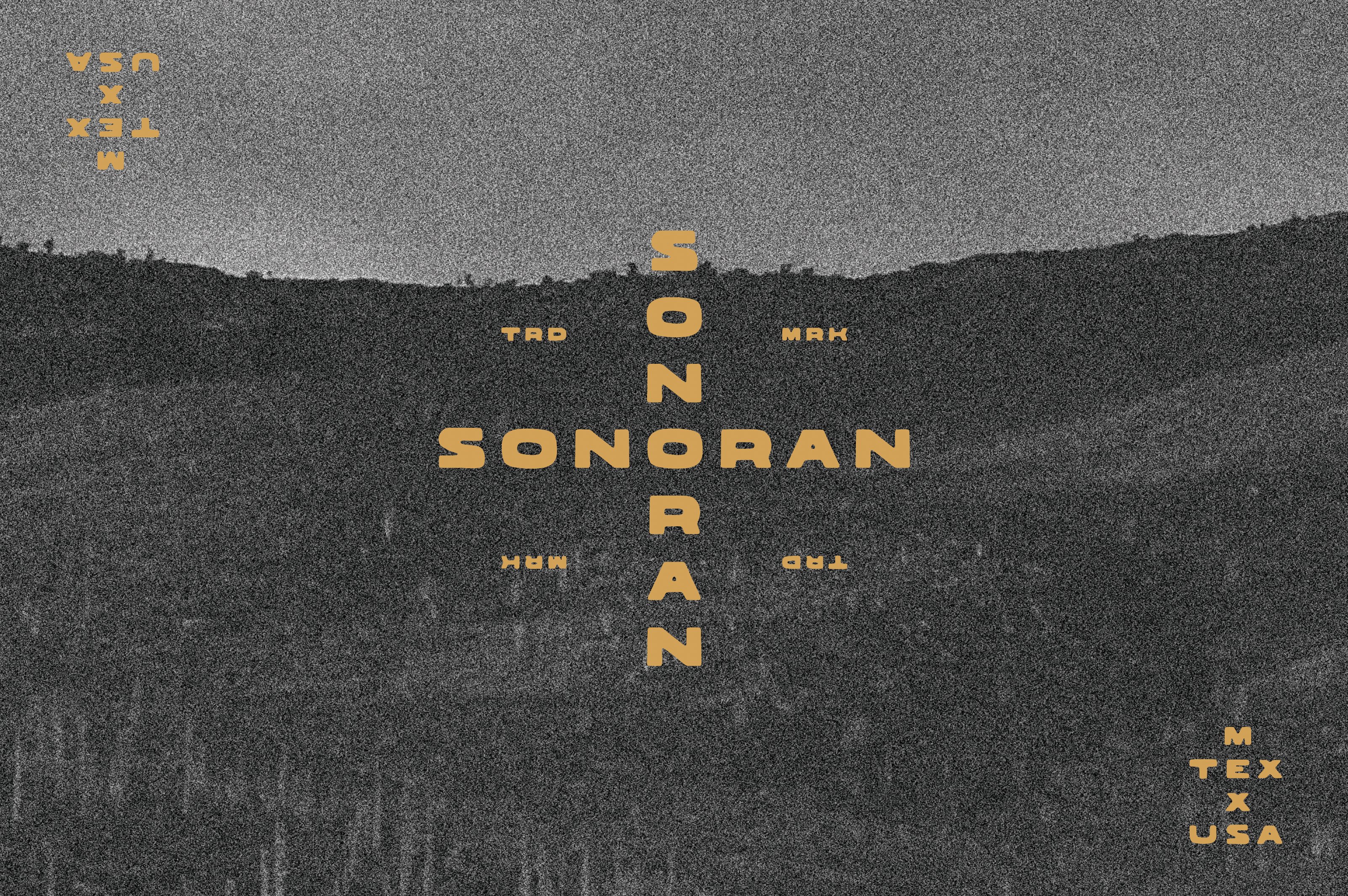Sonoran Typeface cover image.