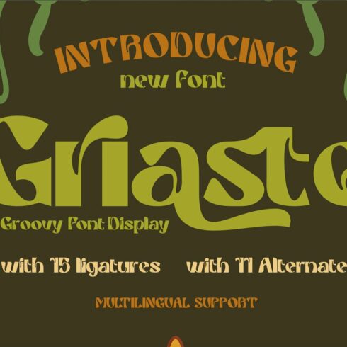 Griaste | Groovy Retro Font cover image.