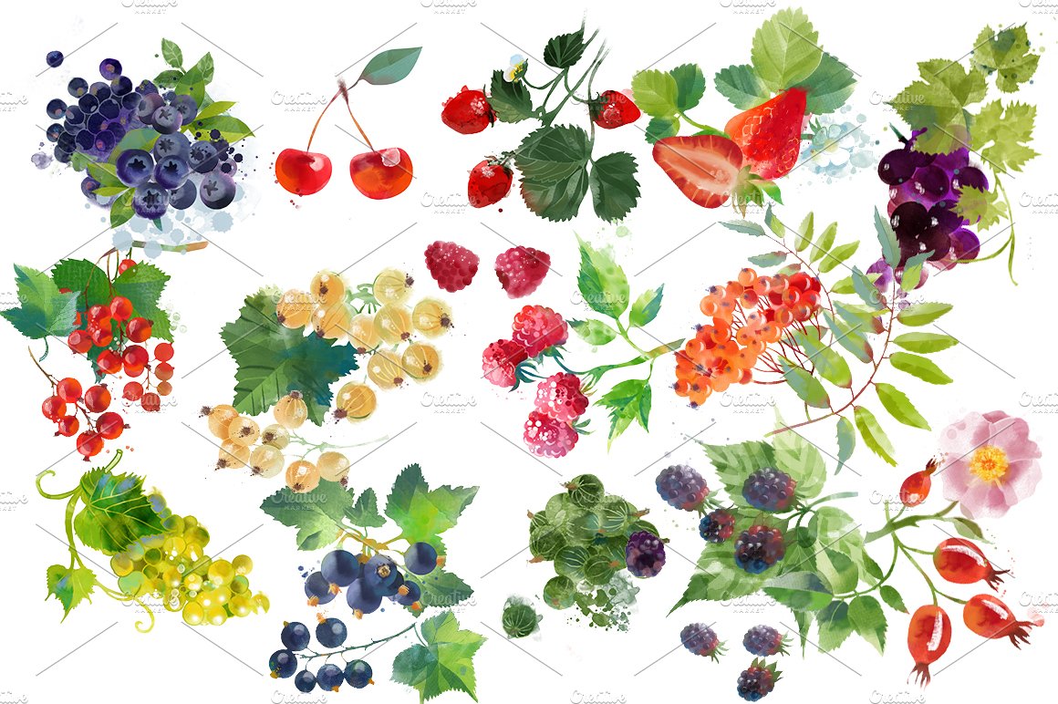 Watercolor fruits and berries preview image.