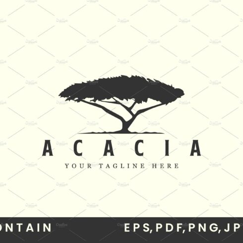 vintage acacia tree with logo vector cover image.