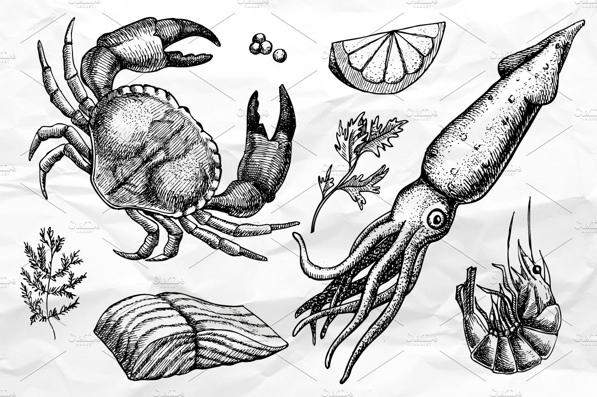 Seafood. Hand Drawn Vintage Set preview image.