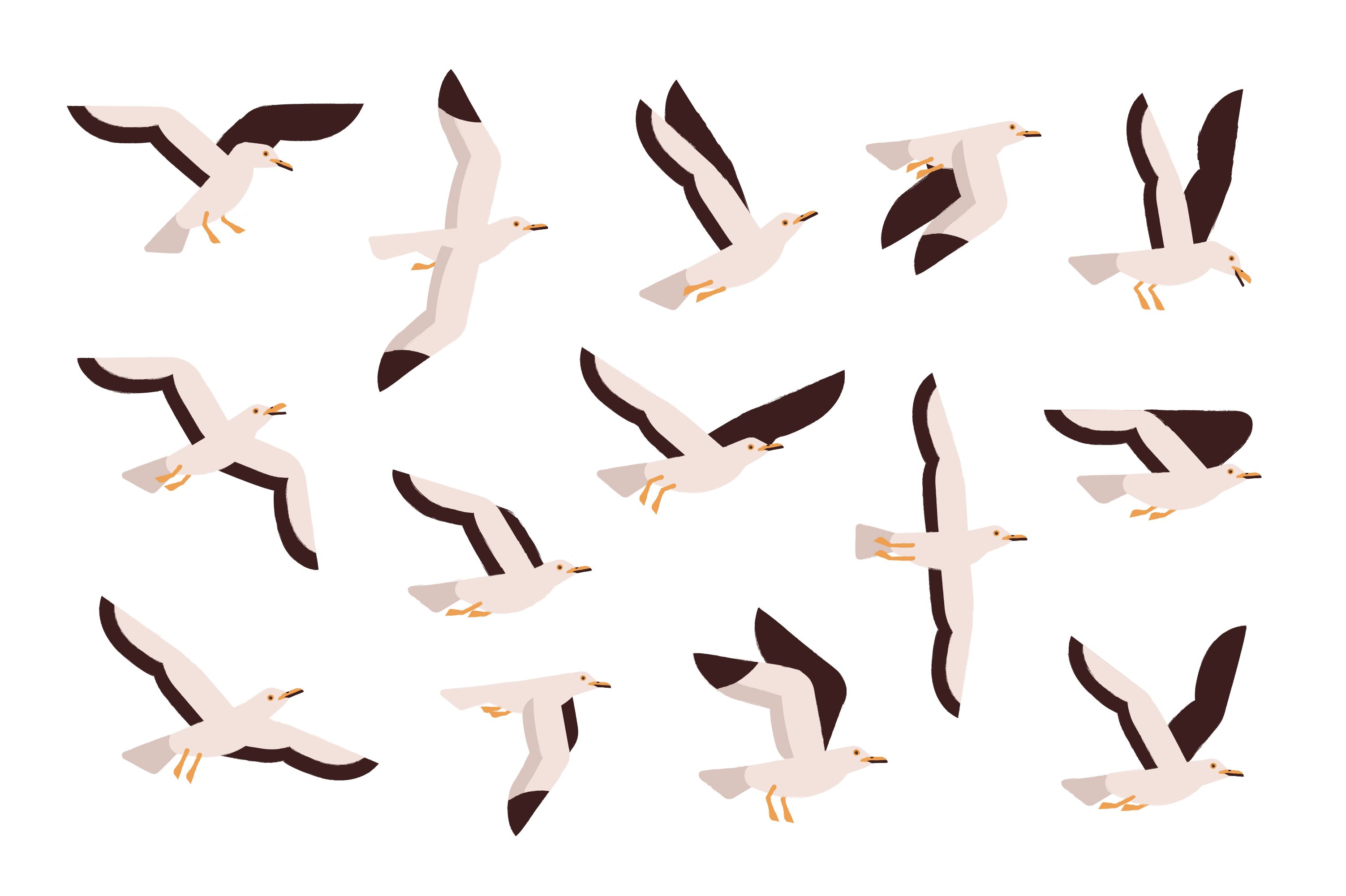 Seagulls set preview image.