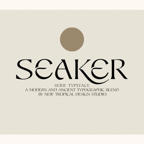 Seaker - Serif Typeface cover image.