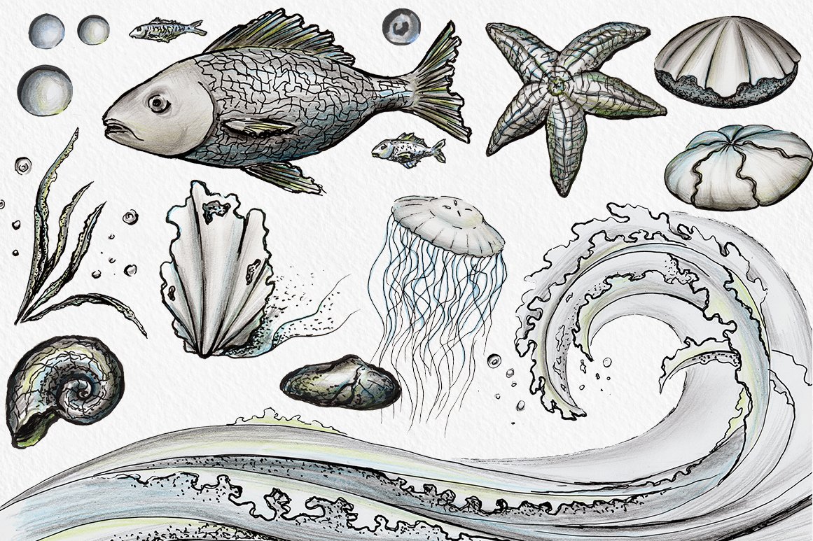 Sea Life - Ink & pencil pack preview image.