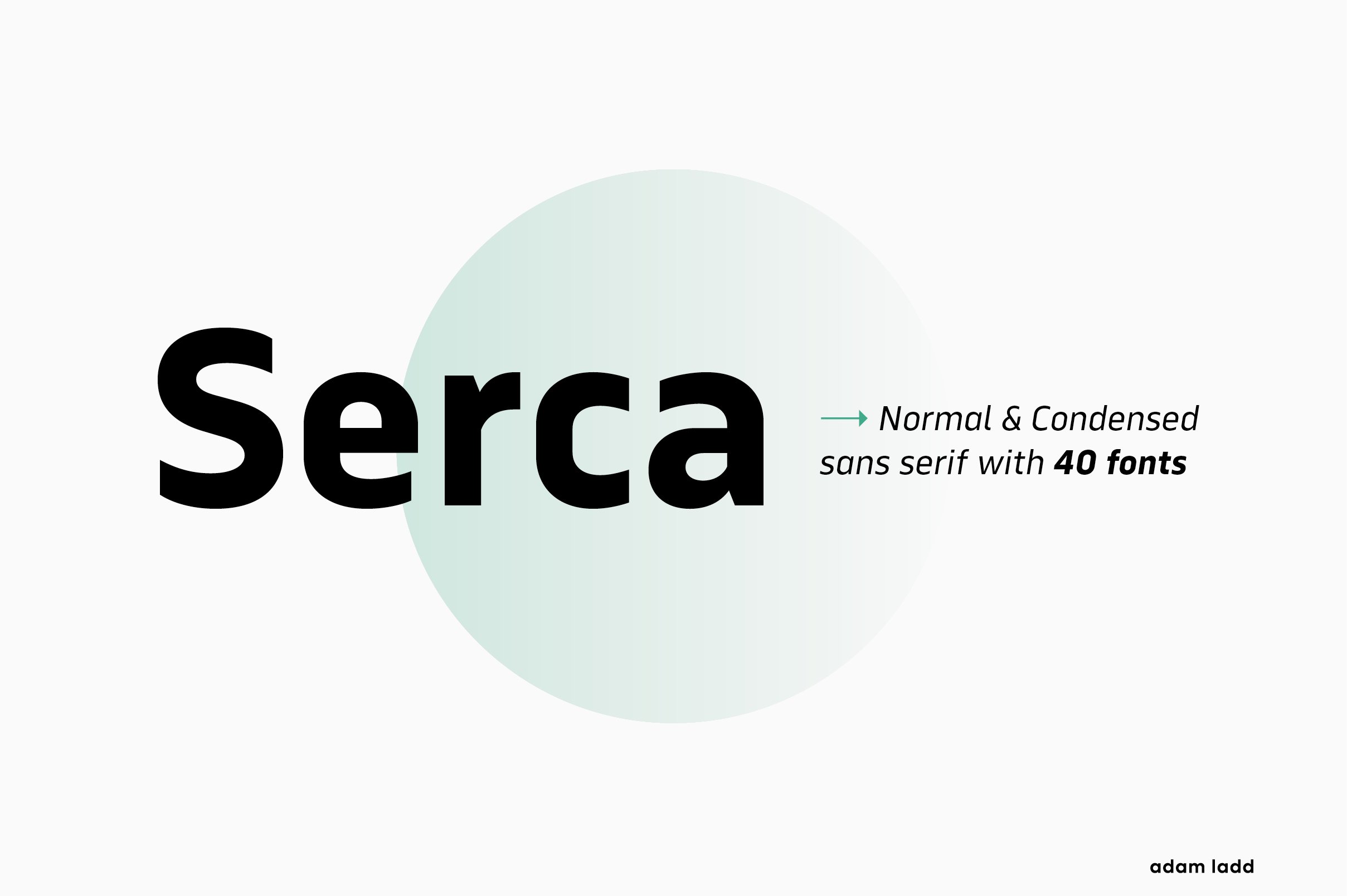 Serca Font Family - 40 Fonts cover image.