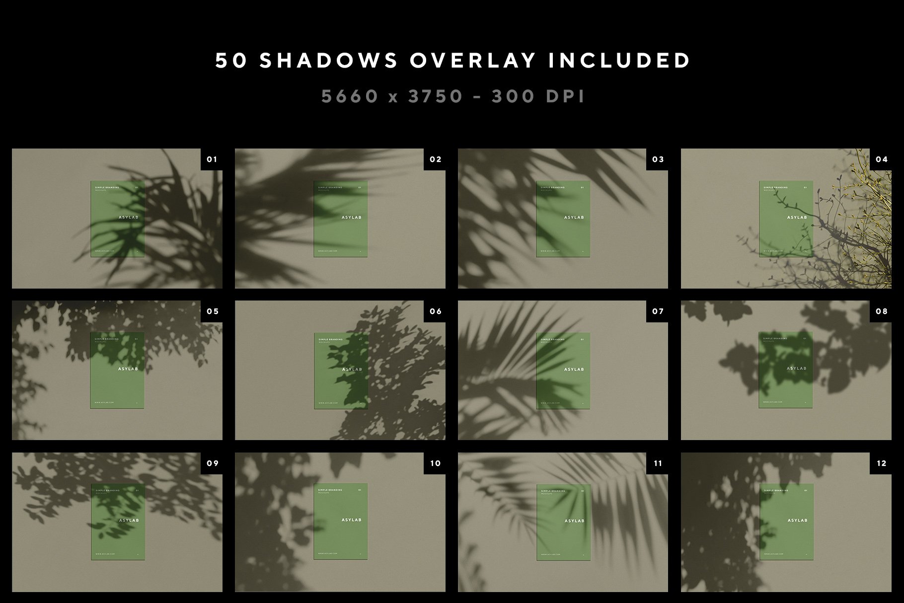 shadow 01 182