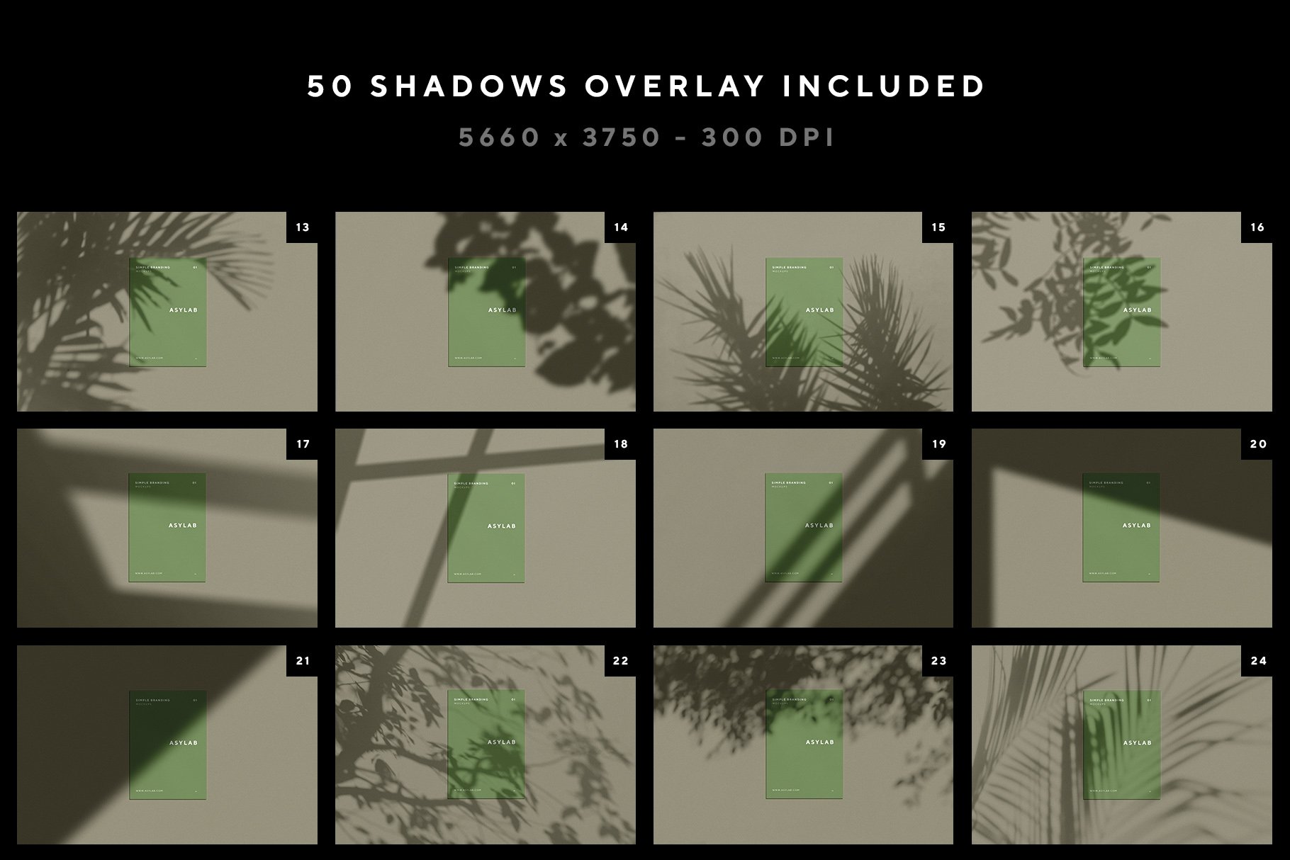 shadow 02 513