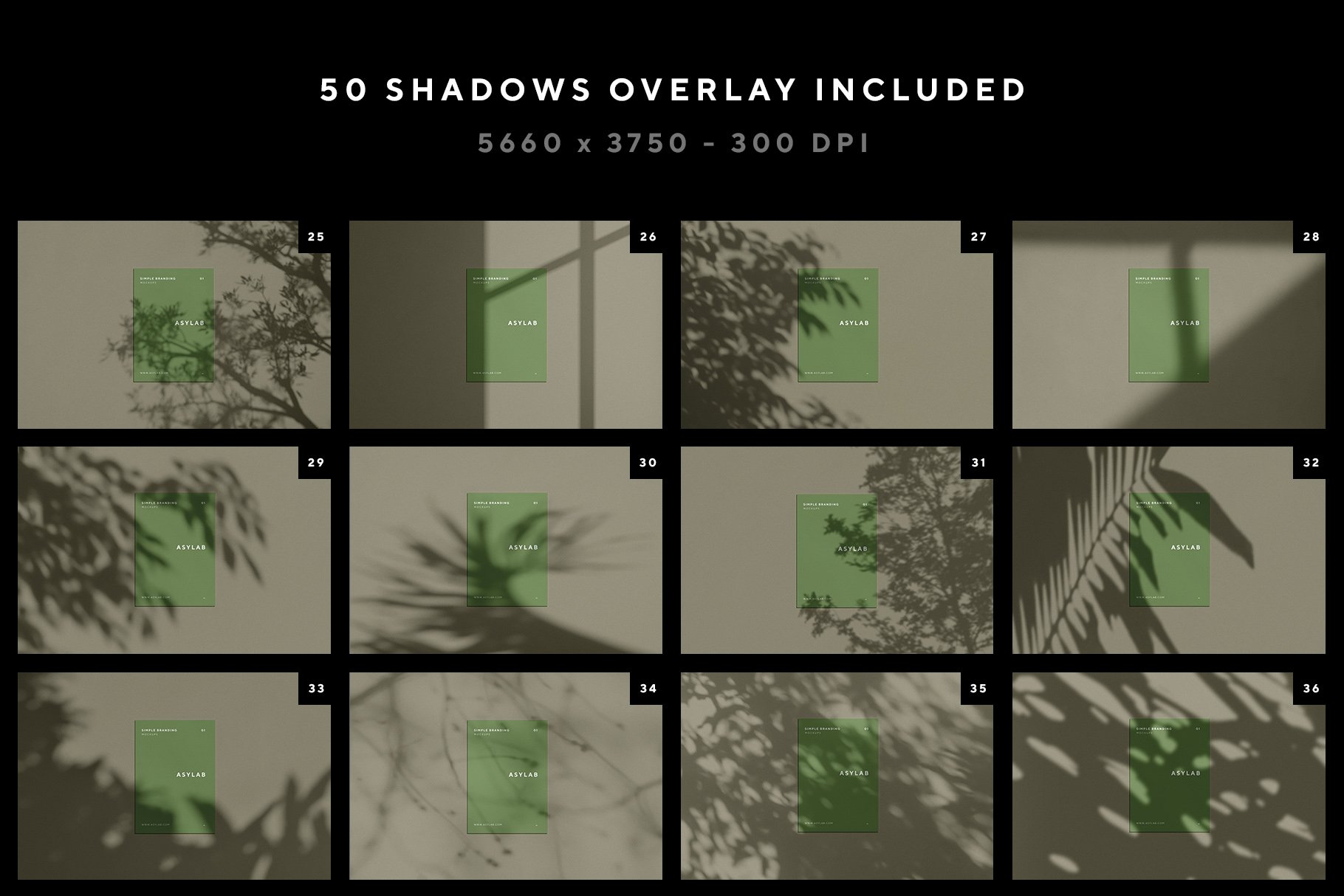 shadow 03 174