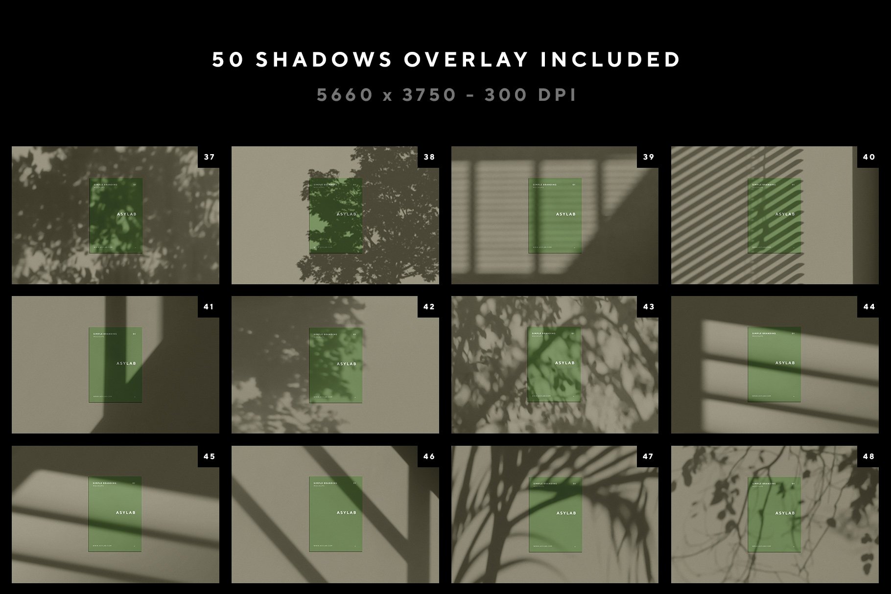 shadow 04 483