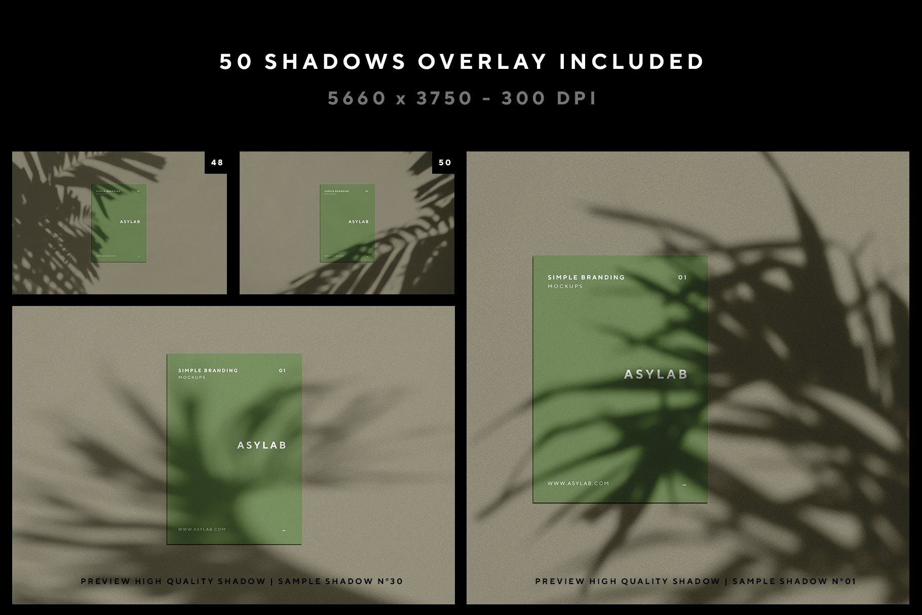shadow 05 741