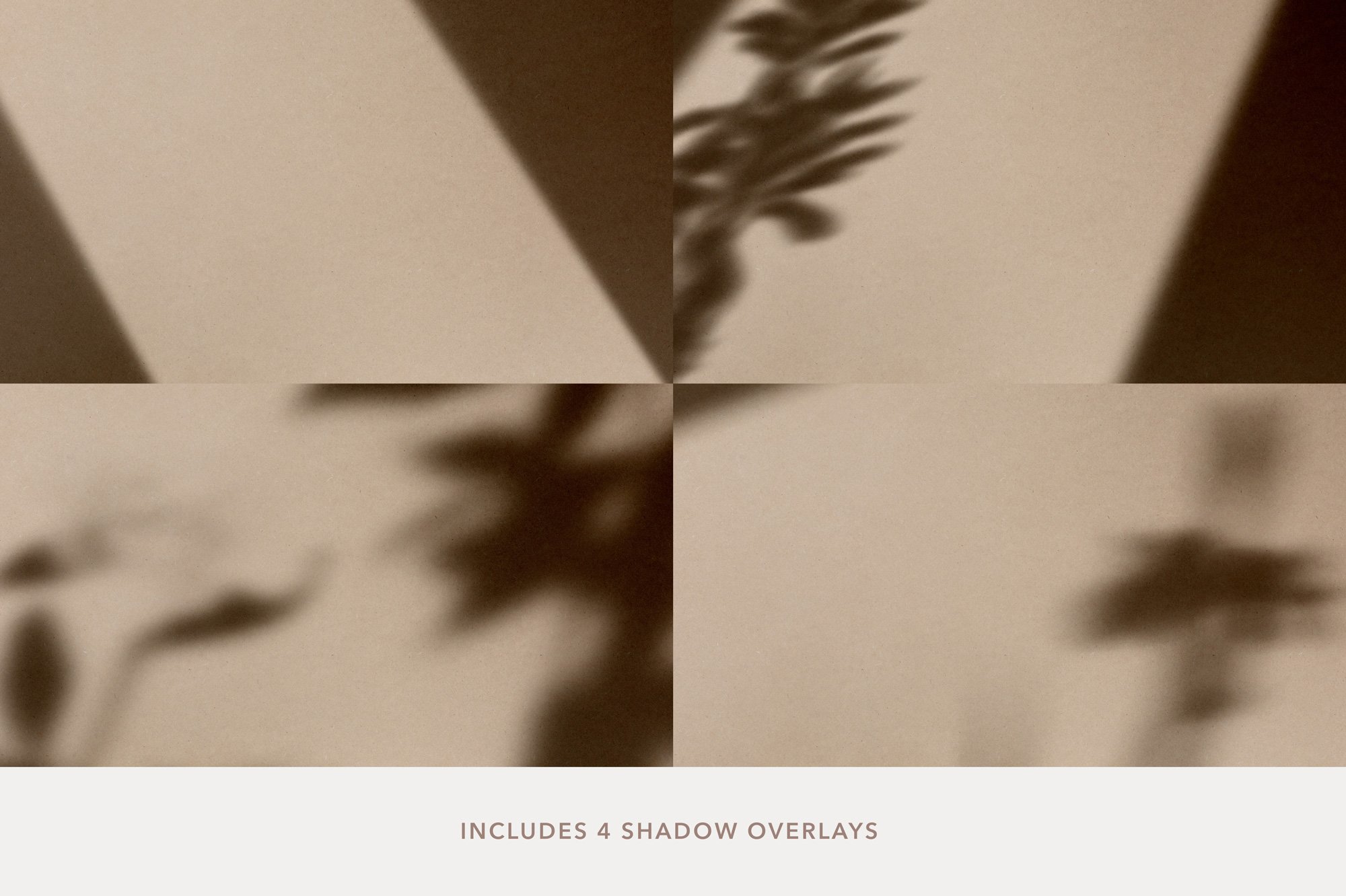 shadows 585