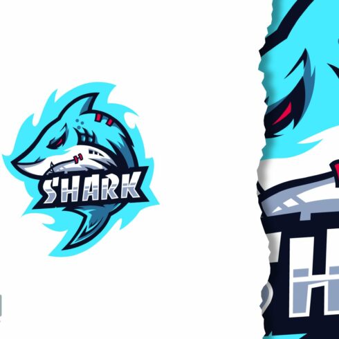Shark logo design cover image.