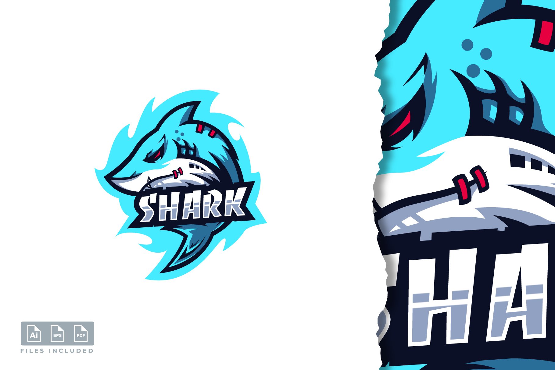 Shark logo design cover image.