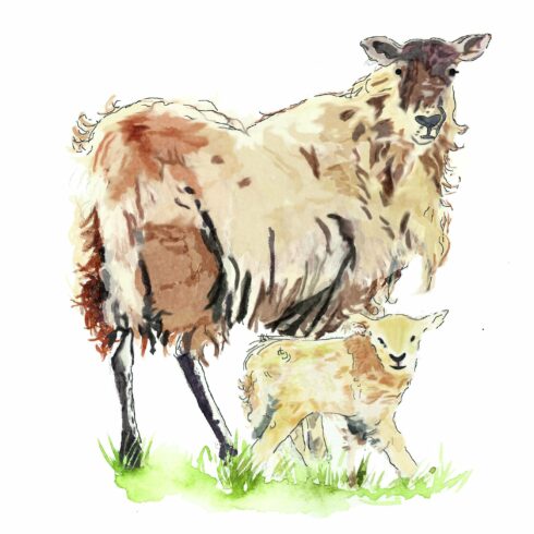 Ewe & Lamb Watercolor cover image.
