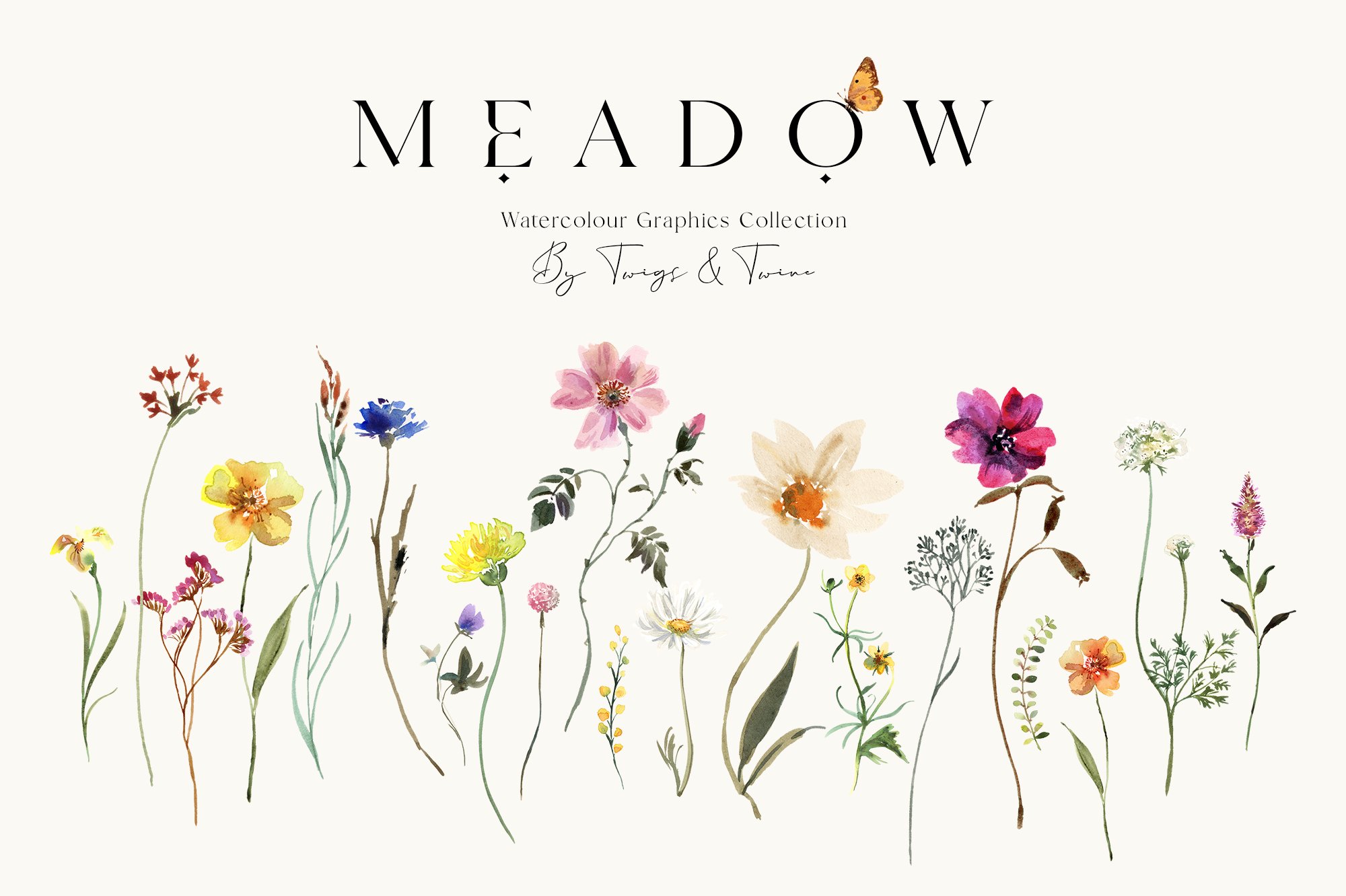 Meadow Wildflower Graphics cover image.