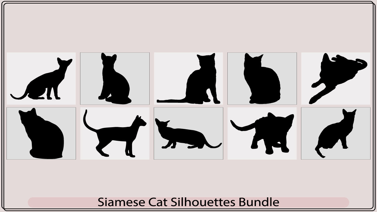 siamese cat silhouettemb add media 620