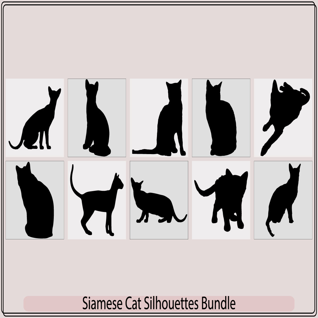 Siamese colorpoint cats Vector illustration,Siamese cat,cats border set with silhouette cover image.