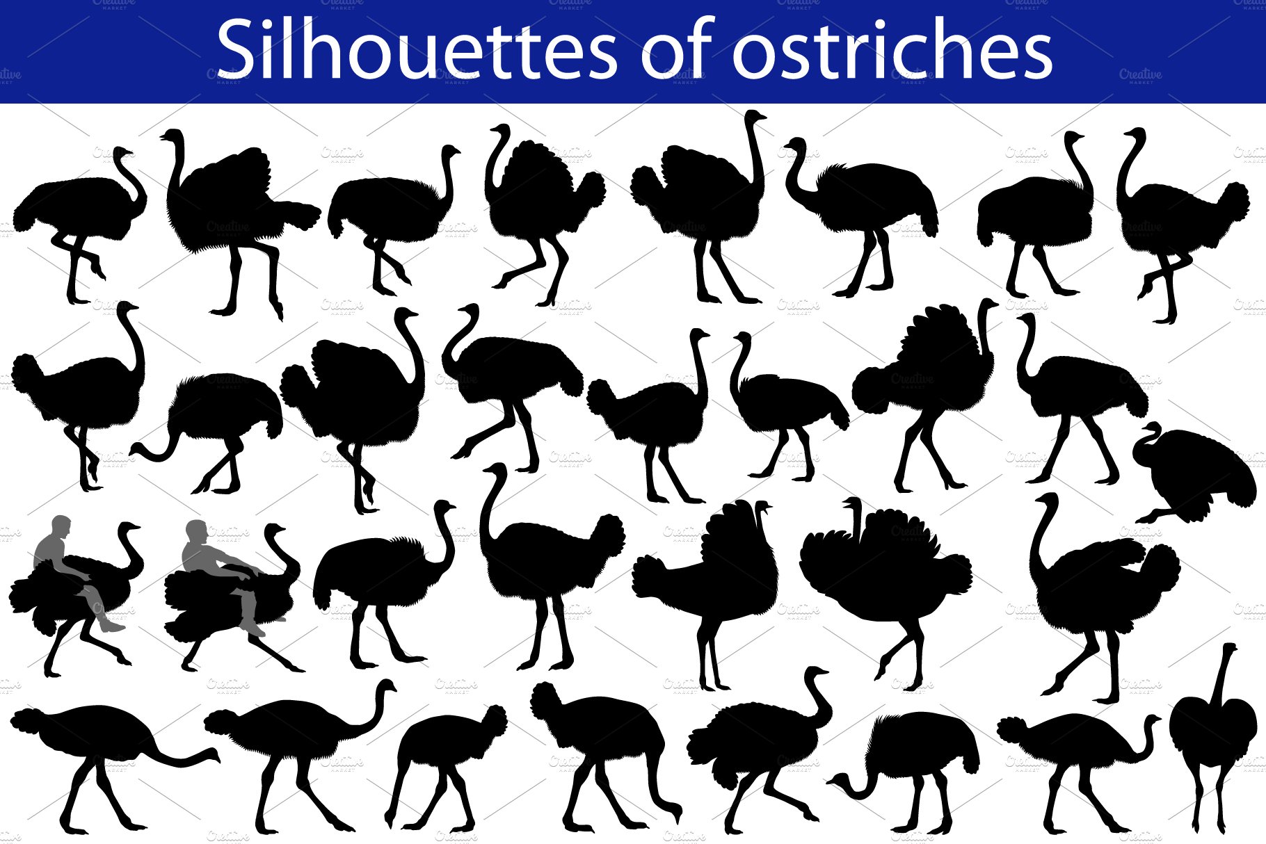 Silhouette of ostrich cover image.