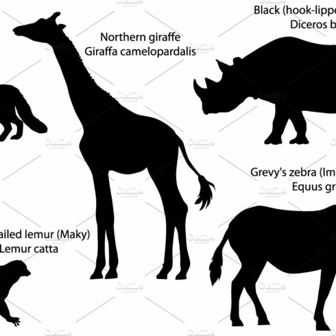 Silhouettes of animals of Africa cover image.