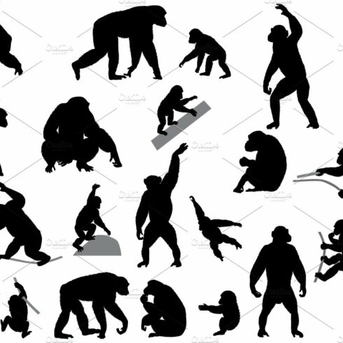 Silhouettes of chimpanzees and cubs cover image.