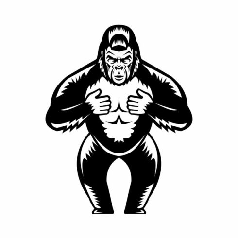 Silverback Gorilla Beating Chest cover image.