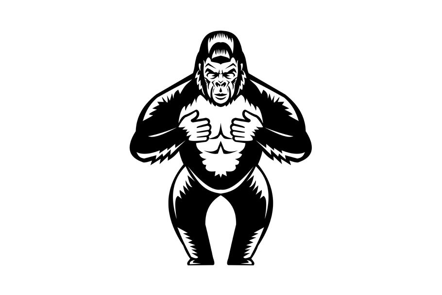 Silverback Gorilla Beating Chest cover image.