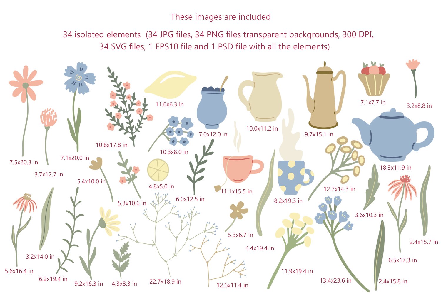 Herbal tea clipart and patterns preview image.
