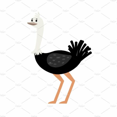 Ostrich cartoon bird cover image.