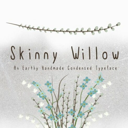 Skinny Willow Earthy Handmade Font cover image.
