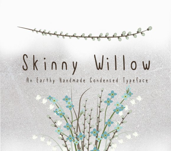 Skinny Willow Earthy Handmade Font cover image.