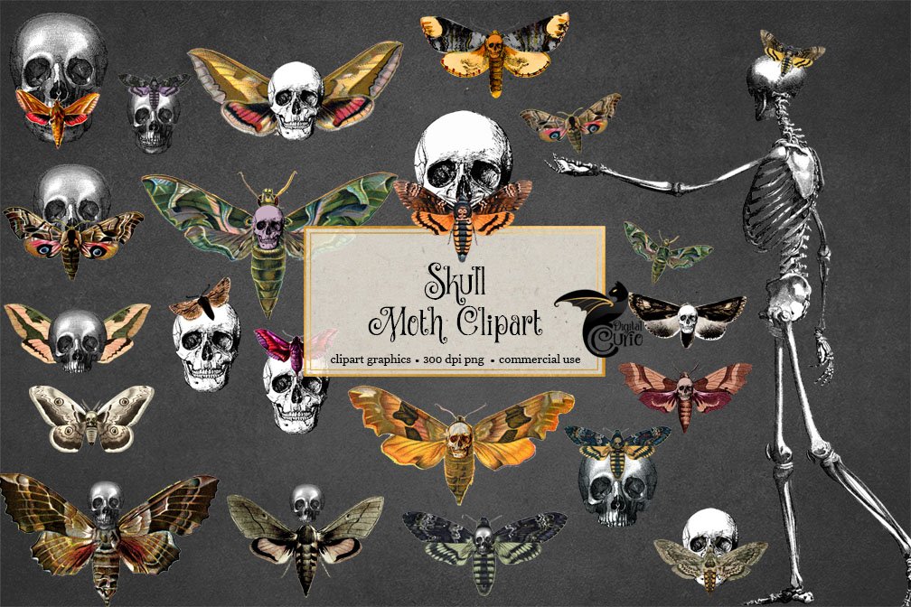 Skull Moth Clipart cover image.