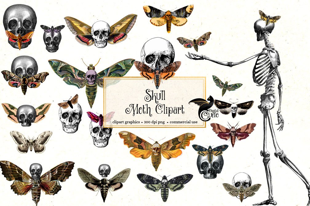 Skull Moth Clipart preview image.