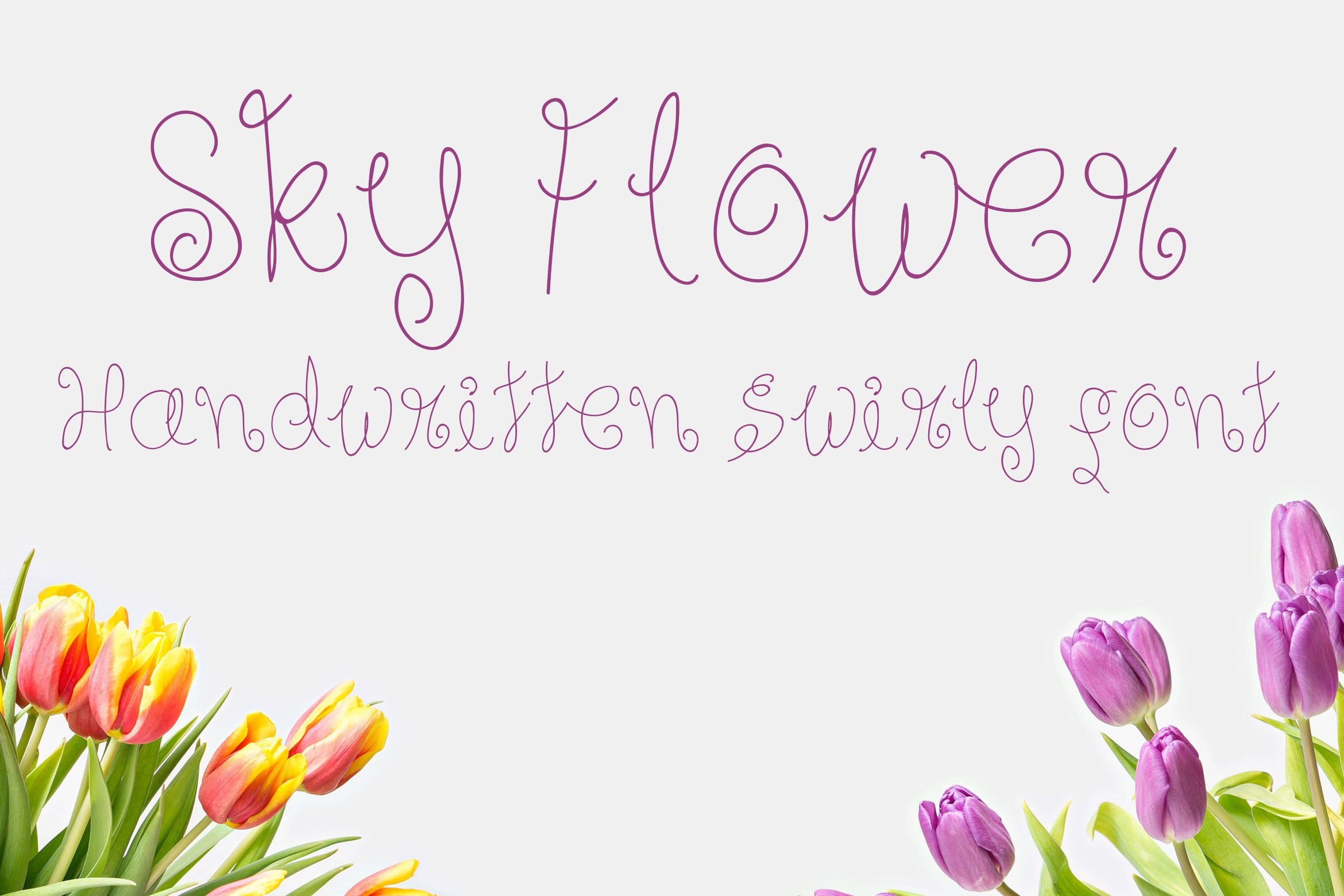 Sky Flower - Handwritten Font cover image.