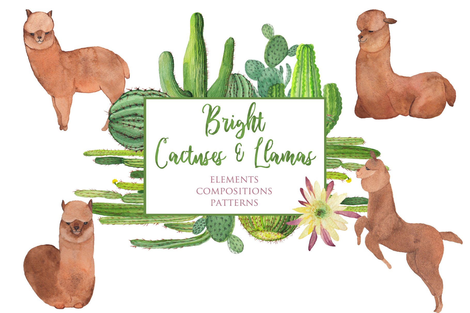Bright Cactuses & Llamas Clipart cover image.