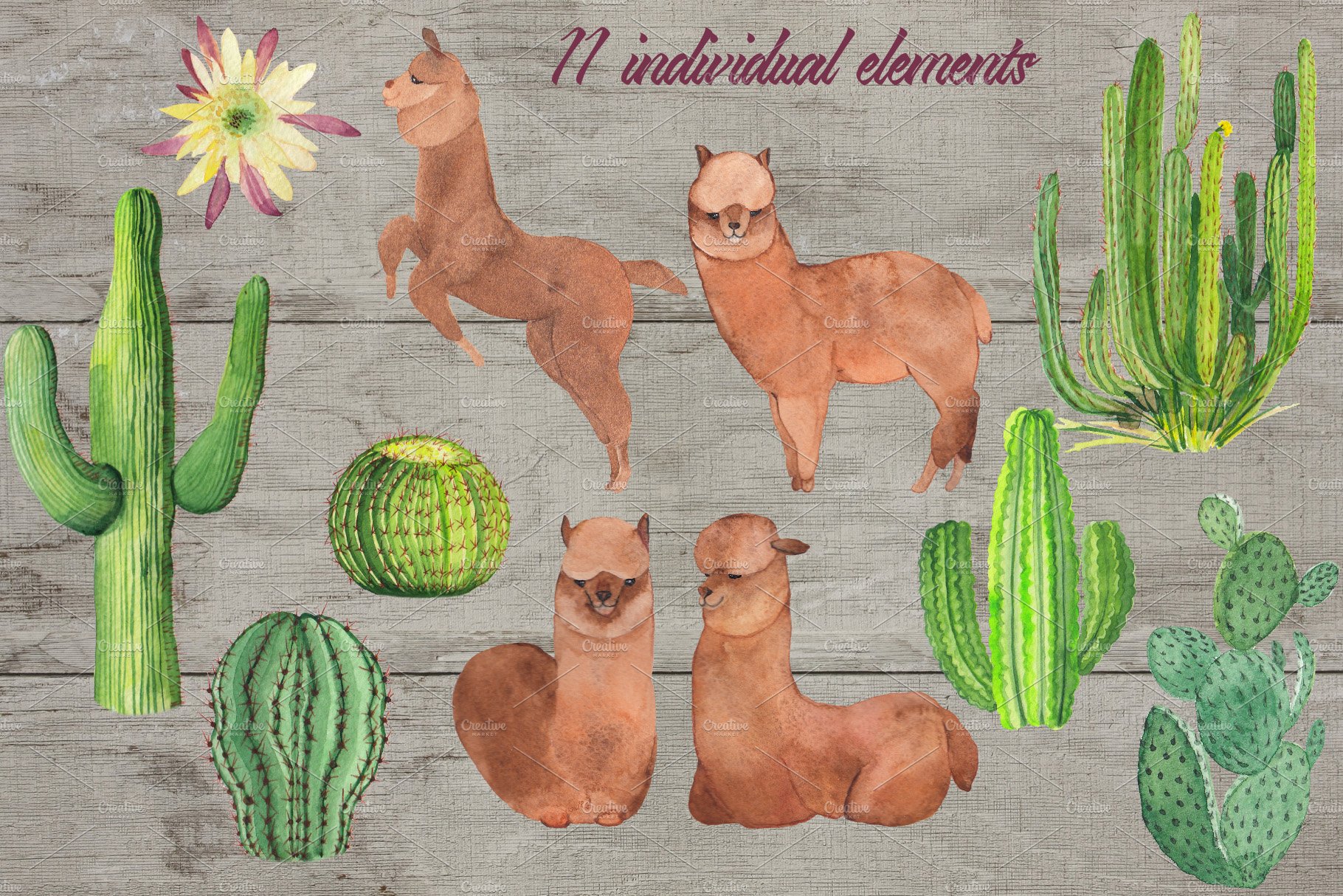 Bright Cactuses & Llamas Clipart preview image.