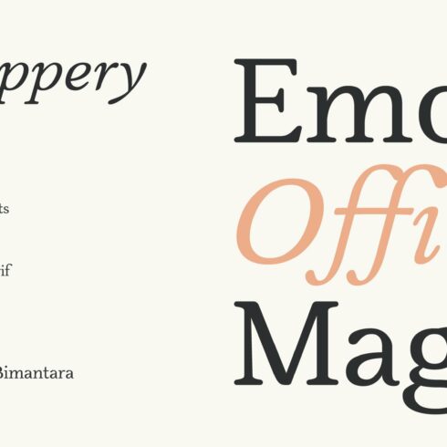 Slippery; Warm Serif cover image.