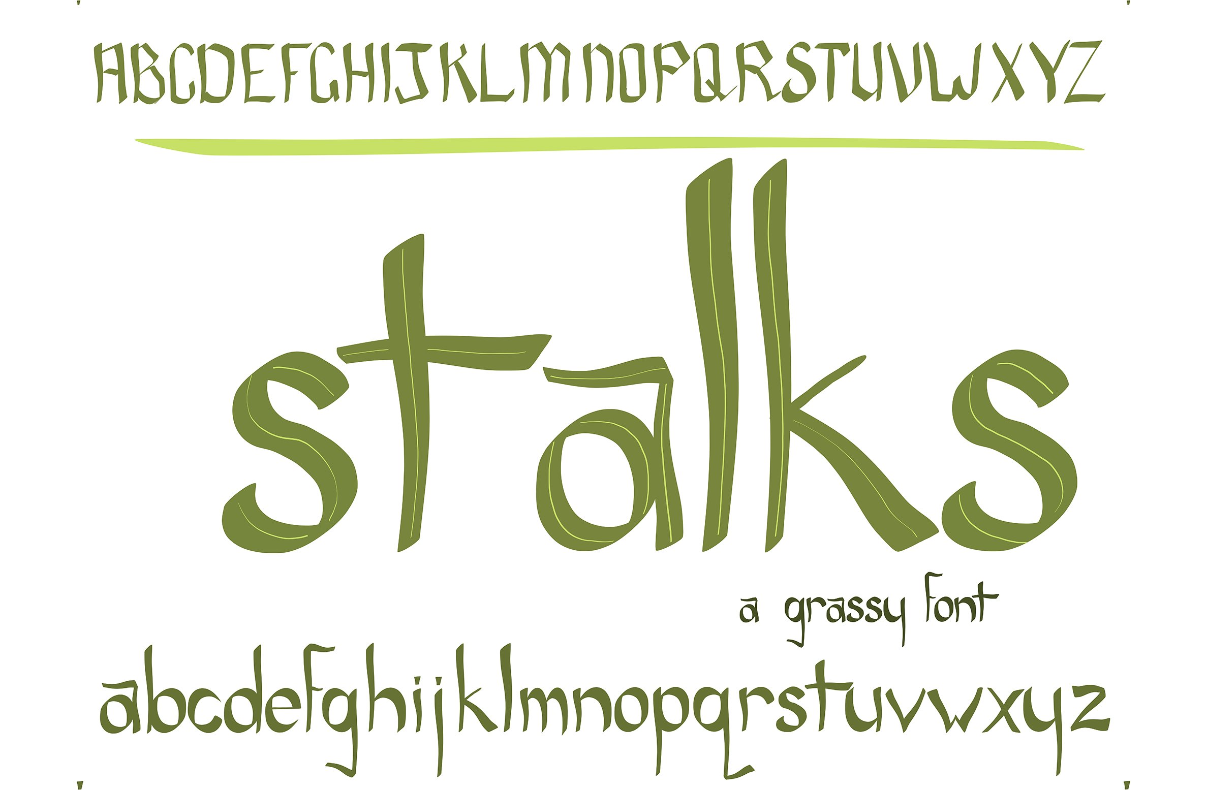 Font Stalks Blades of Grass Creative cover image.